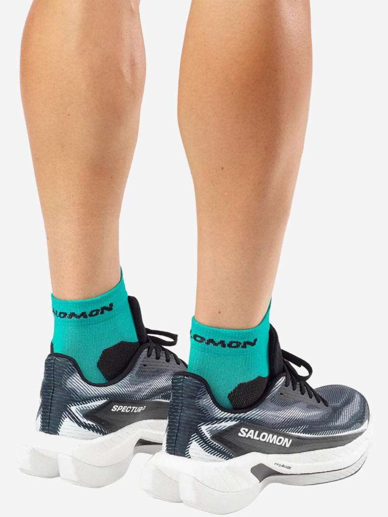 Кроссовки беговые Salomon Spectur 3