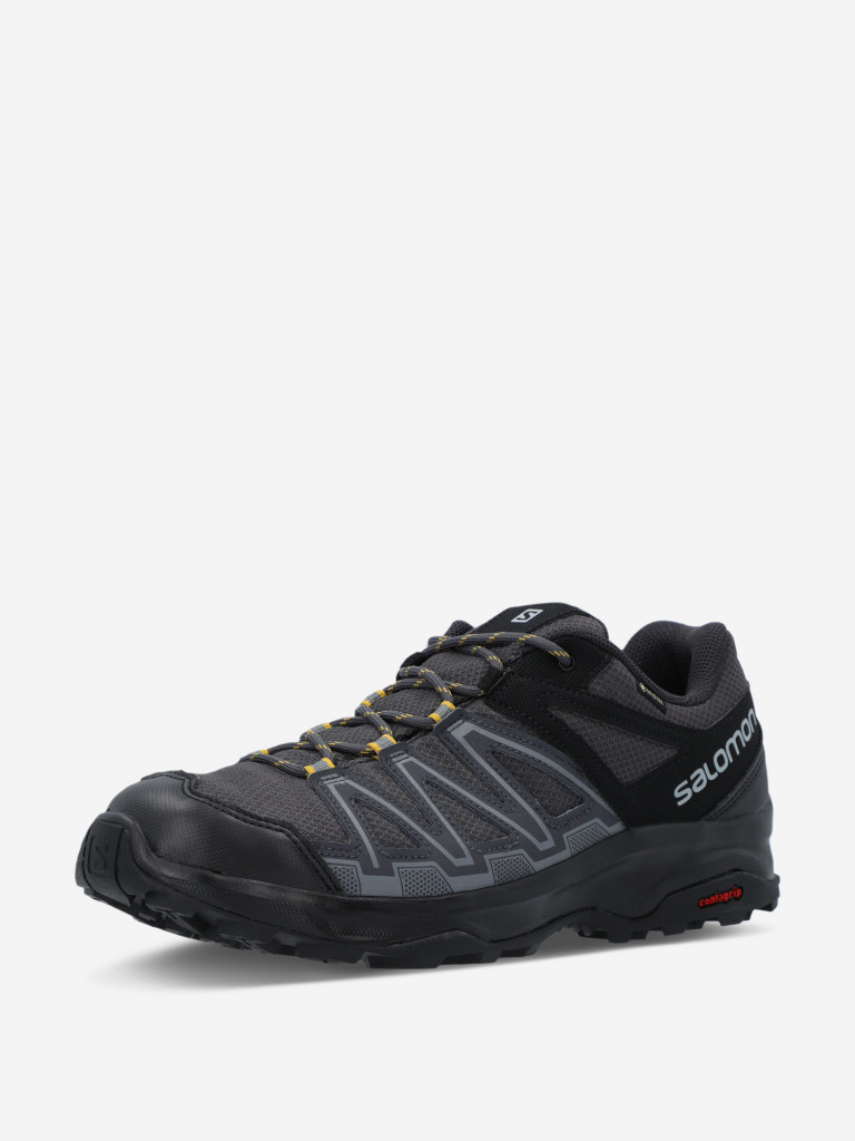 Кроссовки мужские Salomon Leonis Gtx