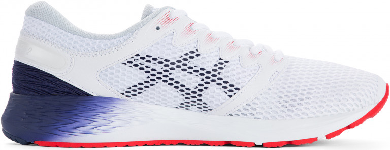 Кроссовки мужские ASICS Roadhawk FF 2