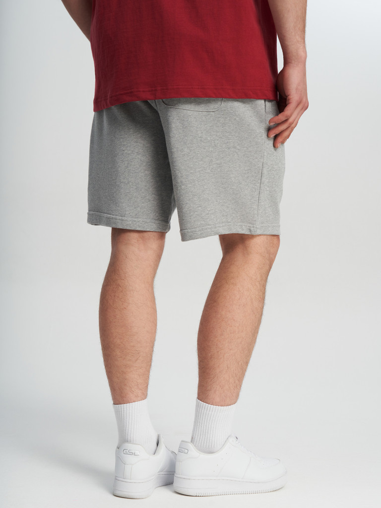 Шорты мужские DC Shoes Vantura