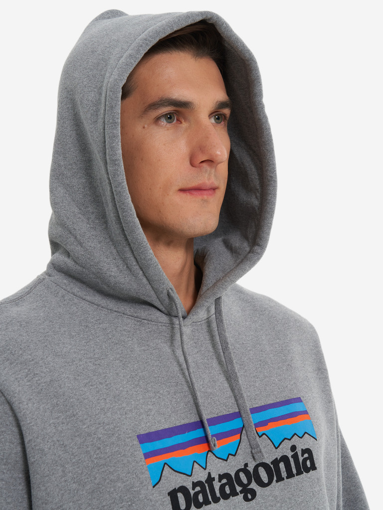 Худи мужское Patagonia Logo Uprisal