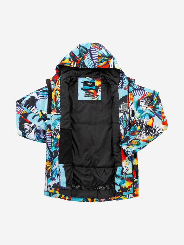 Куртка сноубордическая мужская Termit