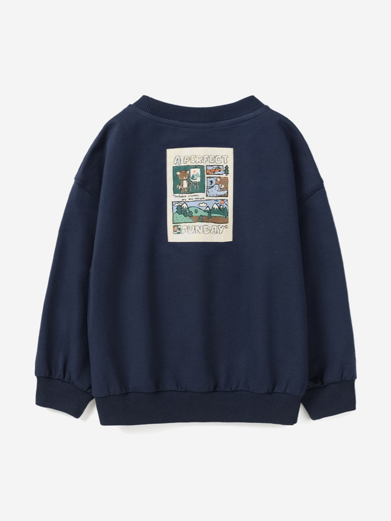 Свитшот для мальчиков Artie