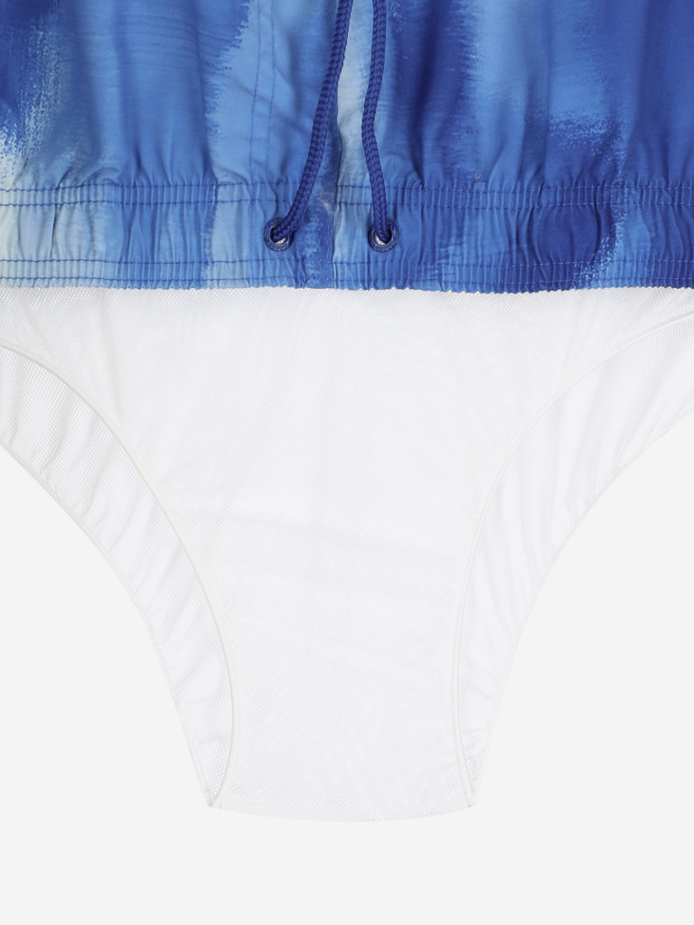 Шорты плавательные мужские Speedo Digi Print