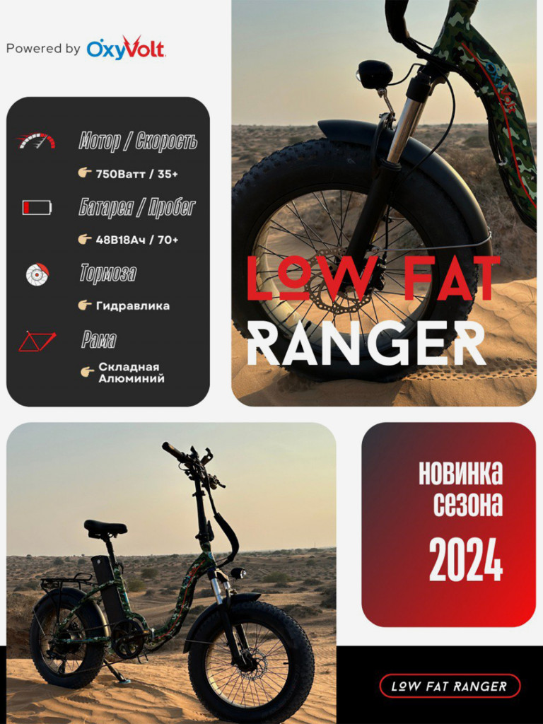 Электровелосипед OxyVolt "Low Fat Ranger" 750Вт, 48В, 20Ач, гидравлика, фэтбайк, складной, 20 дюймов, графит