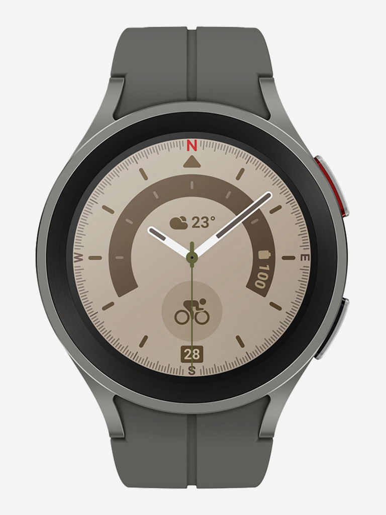Смарт-часы Samsung Galaxy Watch5 Pro серый титан