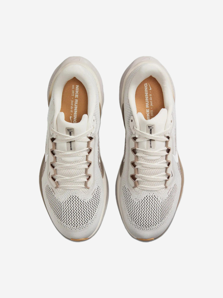 Кроссовки Nike Air Zoom Pegasus 41