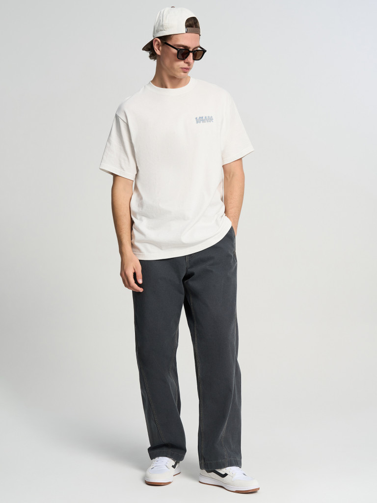 Брюки мужские Vans Authentic Chino Loose Side Panel Pant