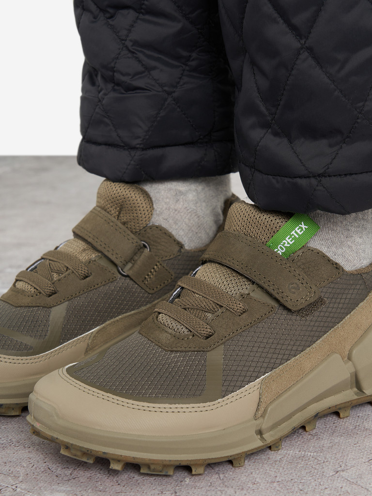 Ботинки для мальчиков Ecco Biom K2