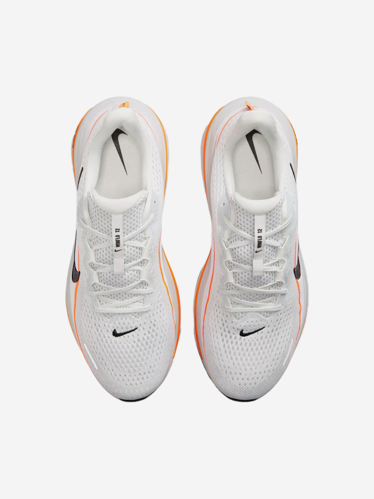 Кроссовки мужские Nike Winflo 12