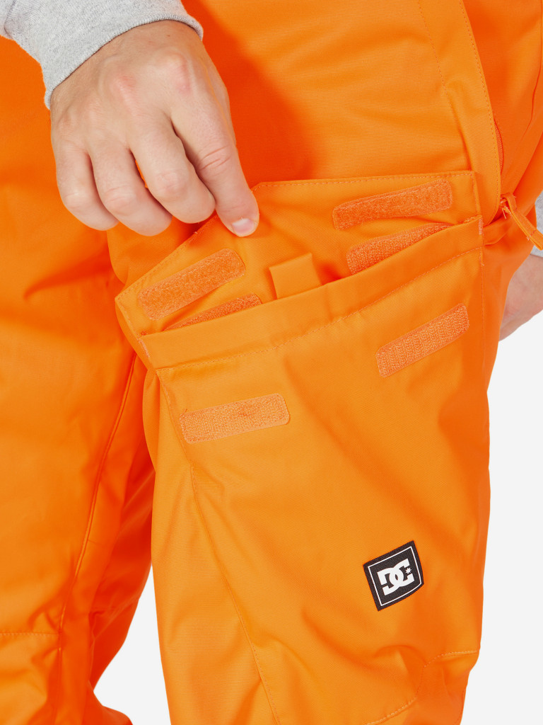 Брюки утепленные мужские DC Shoes Banshee