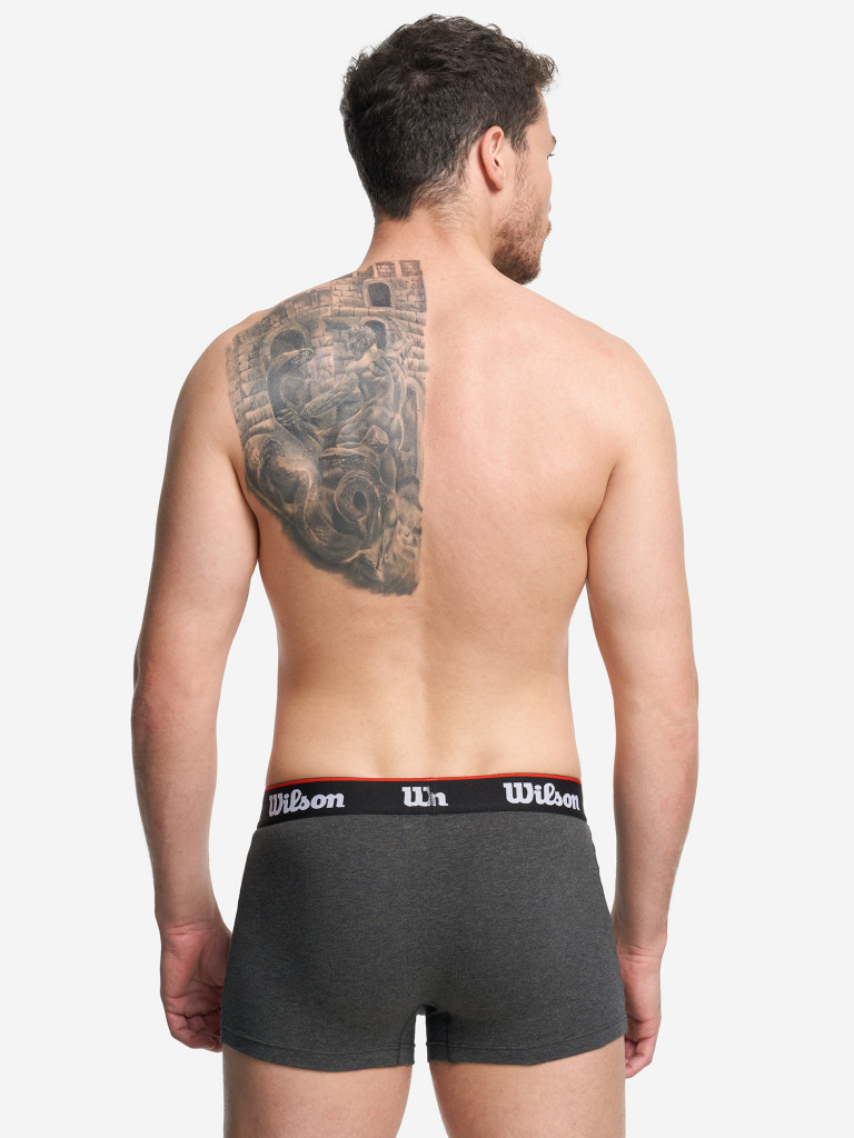 Трусы мужские Wilson, 2 штуки