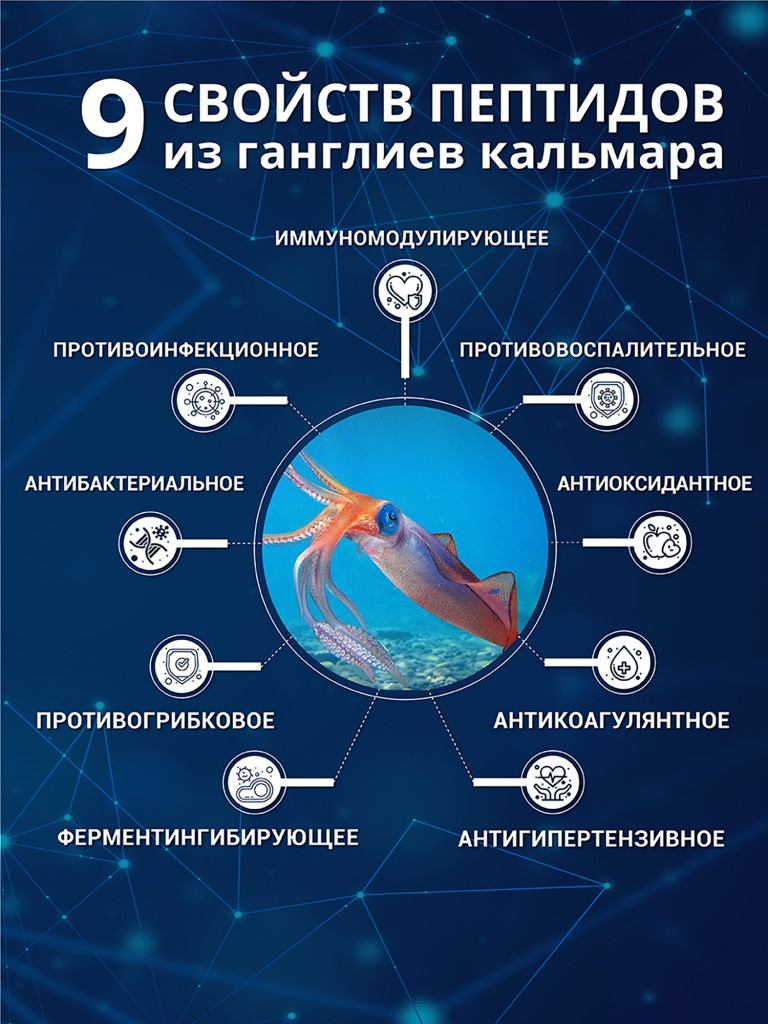 Морские пептиды из ганглиев кальмара, пептидный комплекс для поддержки иммунитета и восстановления организма, 30 капсул / Доктор Море