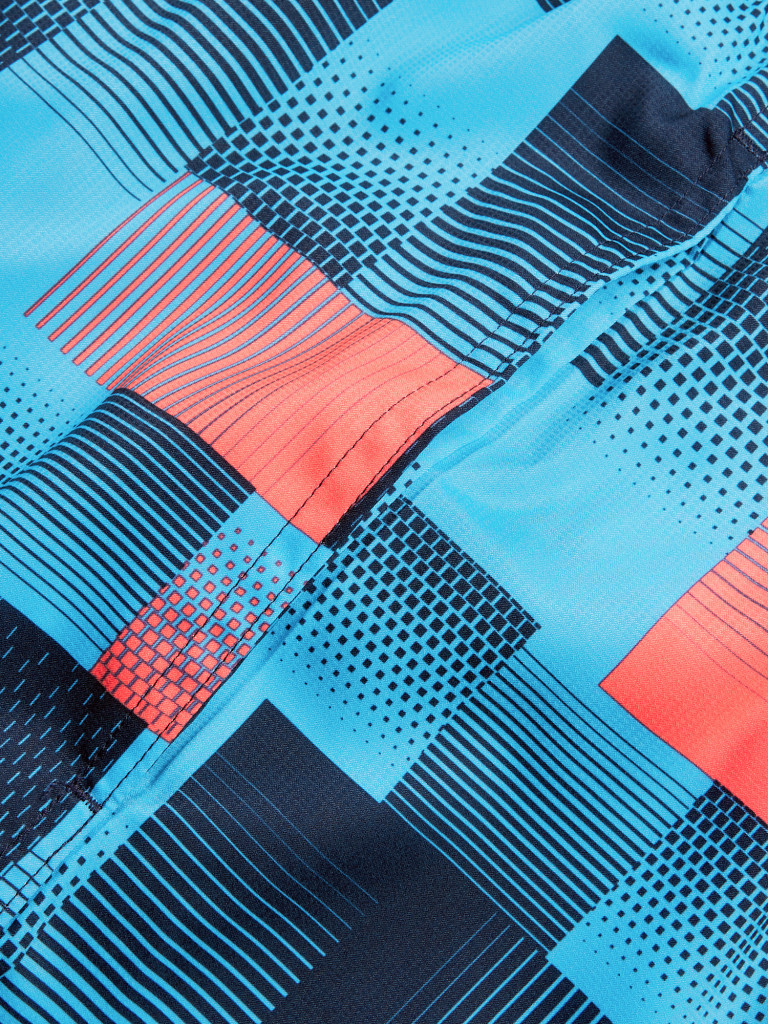 Шорты плавательные мужские Speedo Sport