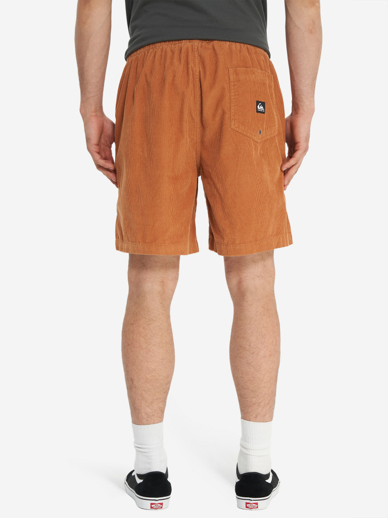 Шорты мужские Quiksilver Taxer Cord