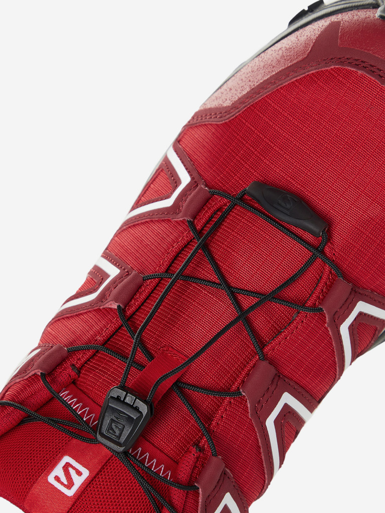 Кроссовки мужские Salomon Alkalin Trail