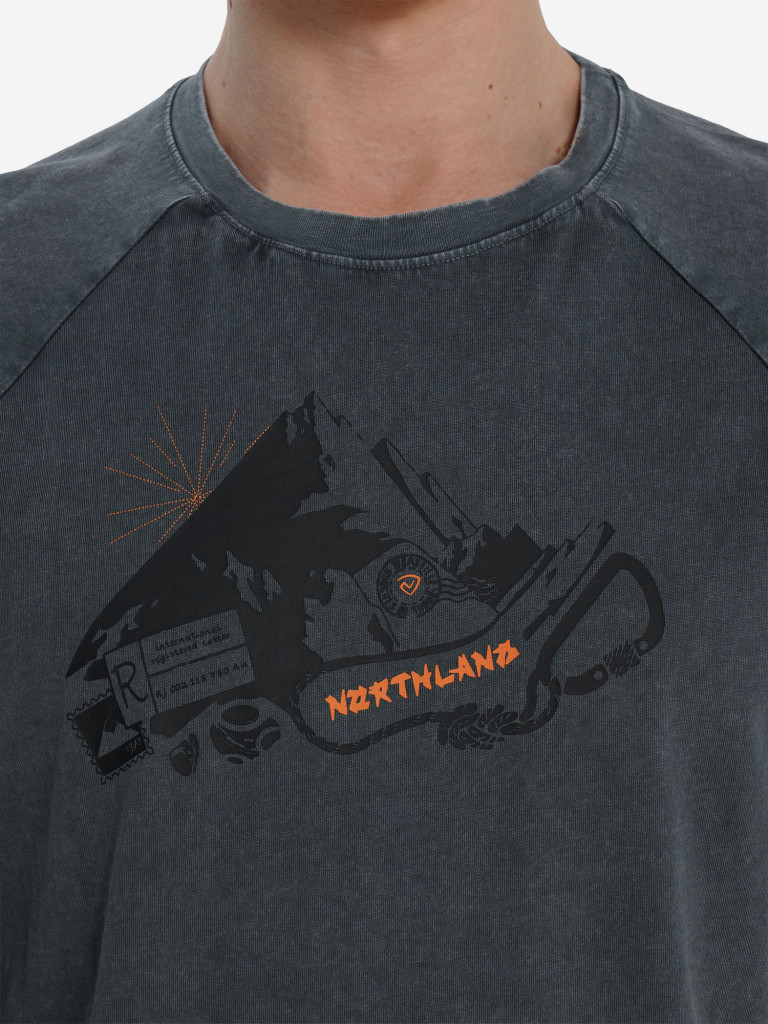 Футболка мужская Northland