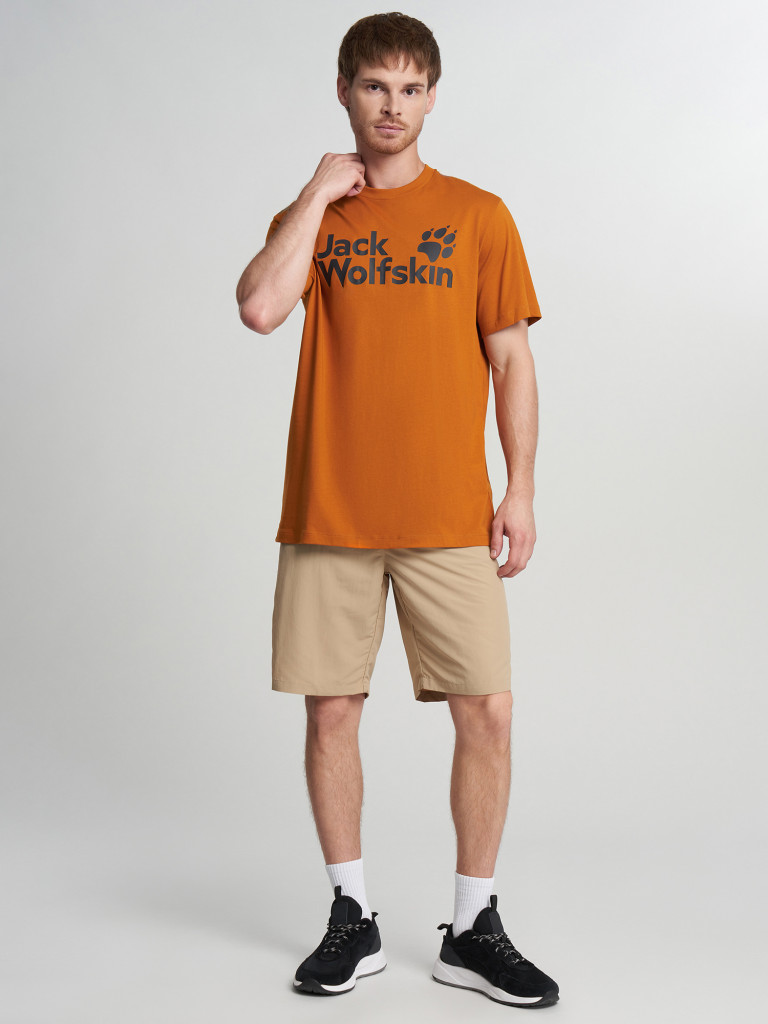 Футболка мужская Jack Wolfskin Brand