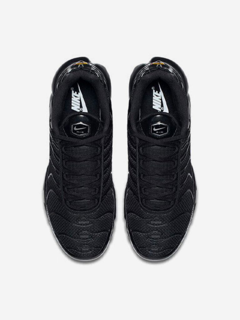 Кроссовки Nike Air Max Plus