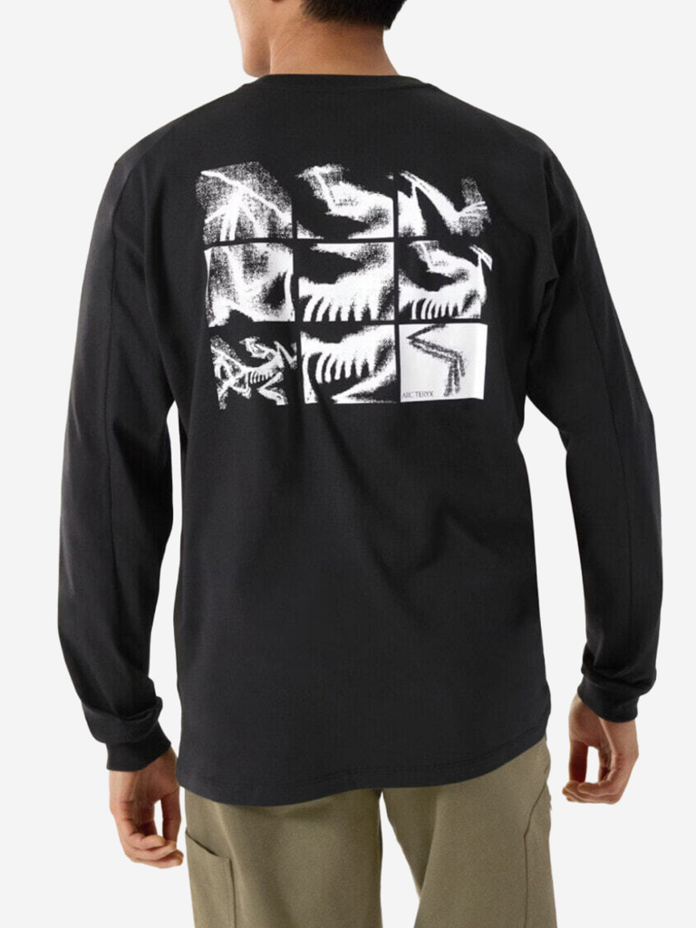 Лонгслив Arcteryx Kragg SL Cotton Bird Tile