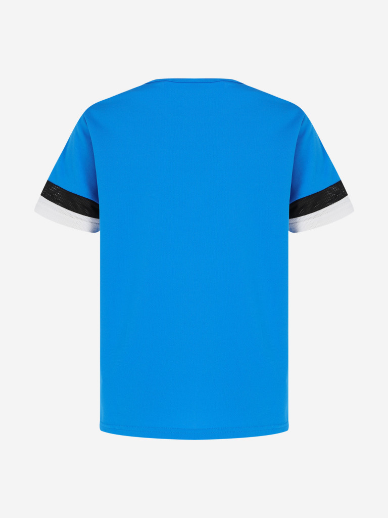 Футболка для мальчиков PUMA Teamrise