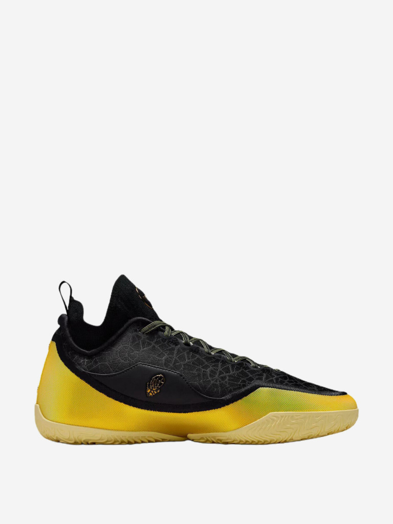 Кроссовки для бавкетбола Nike Lebron 23