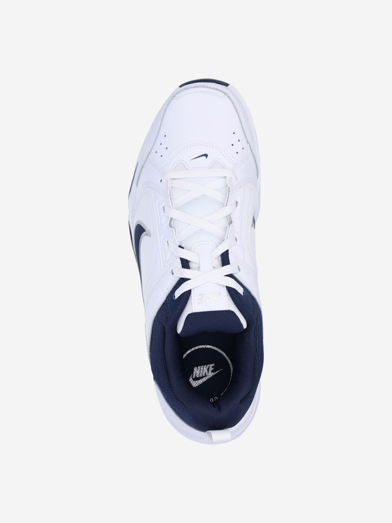 Кроссовки мужские Nike Defy All Day
