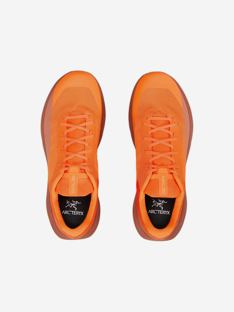 Кроссовки мужские Arc'teryx Norvan LD 4