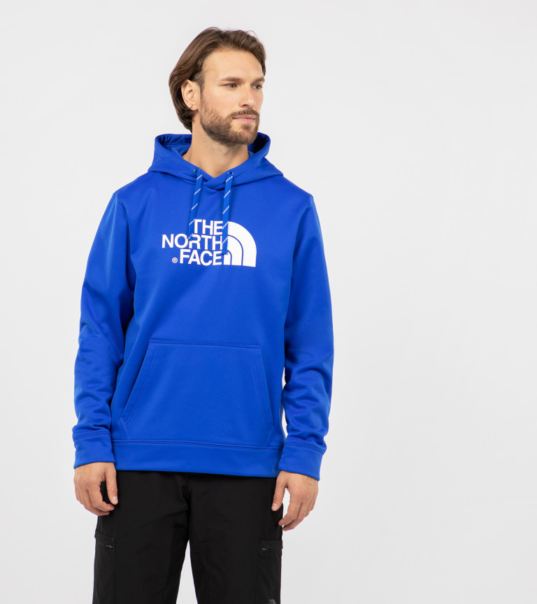 Худи мужское The North Face Surgent