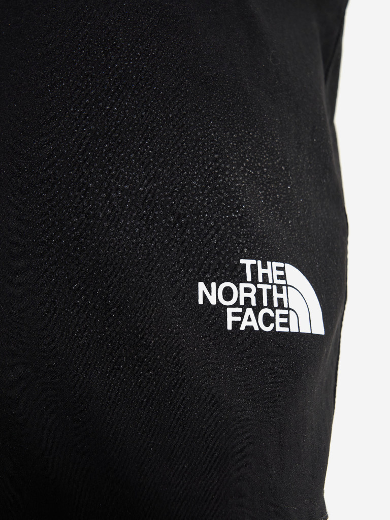 Брюки мужские The North Face