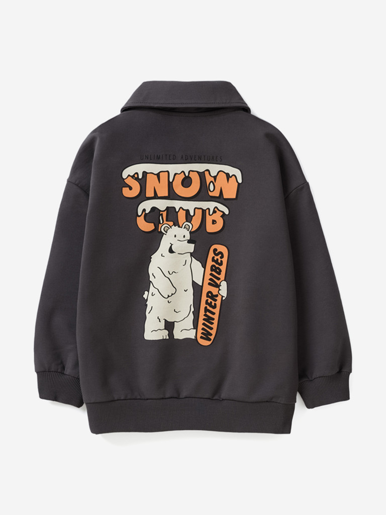 Свитшот для мальчиков Artie