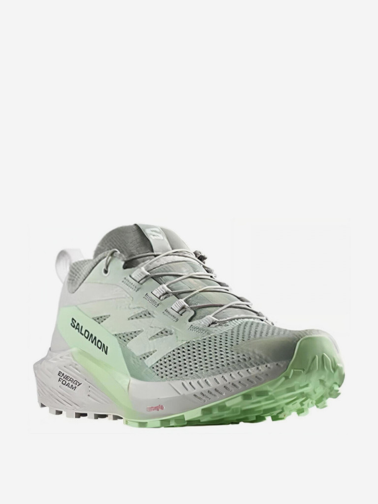 Кроссовки Salomon Sense Ride 5