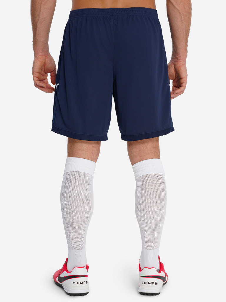 Шорты мужские Nike Acd25