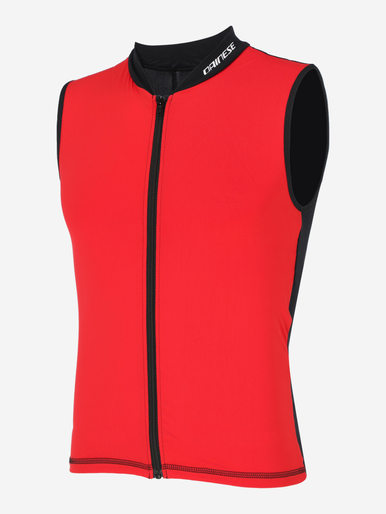 Защита спины Dainese Auxagon