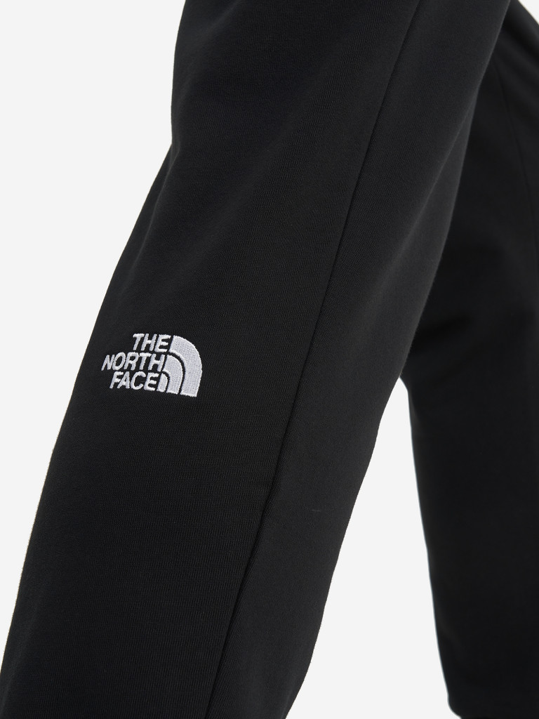 Брюки мужские The North Face Nse