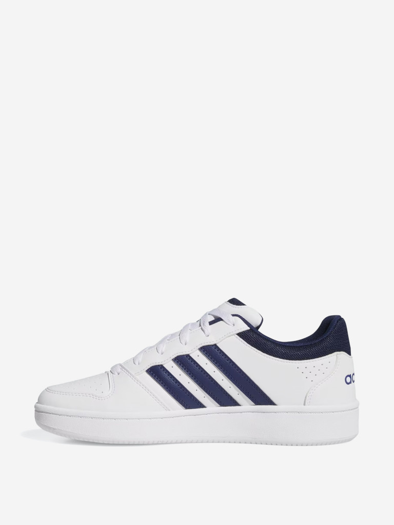 Кеды мужские adidas Hoops Classic