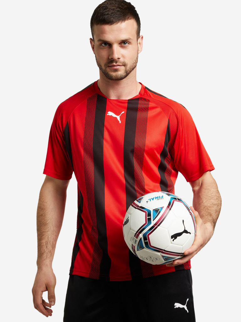 Футболка мужская PUMA teamLIGA Striped Jersey