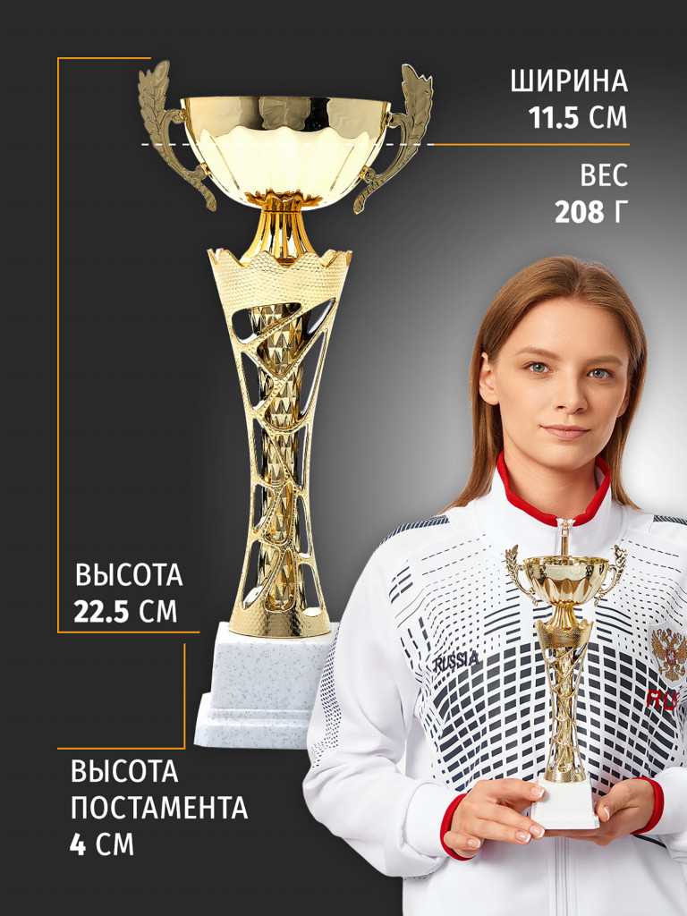Спортивный кубок для награждения победителя 26.5 см