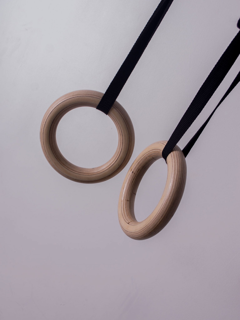 Кольца гимнастические для WORKOUT 2м, SportGid