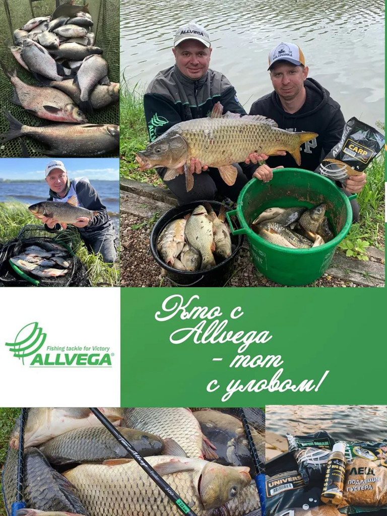 Прикормка зимняя готовая ALLVEGA Formula Winter Ready универсал 5 пачек по 0.5 кг