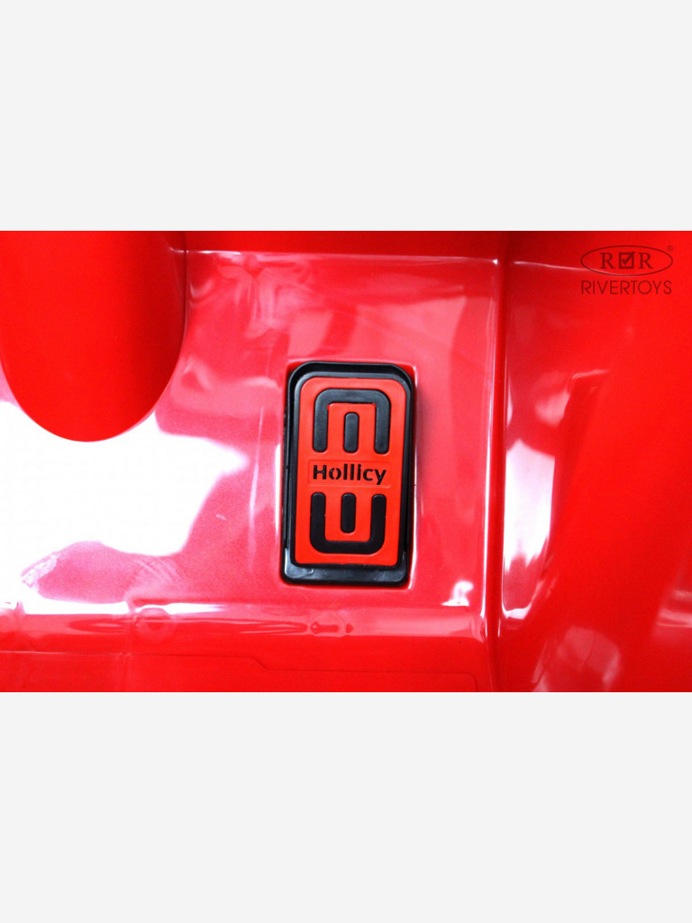 Детский электромобиль RIVERTOYS A555AA