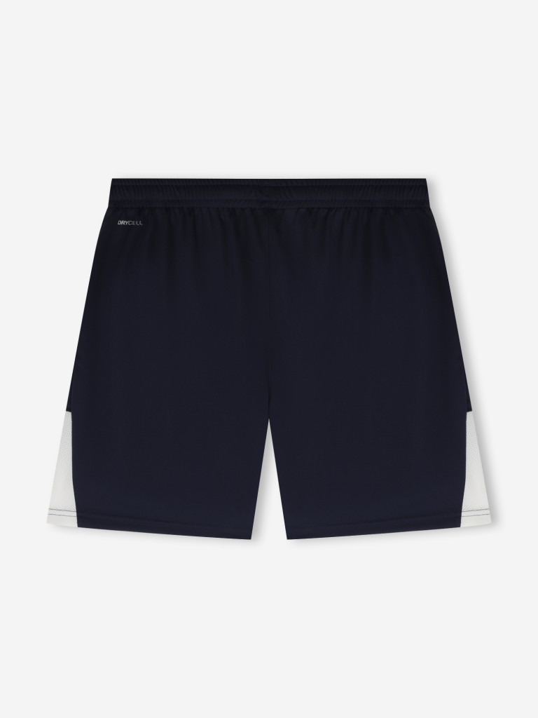 Шорты мужские PUMA Teamliga26