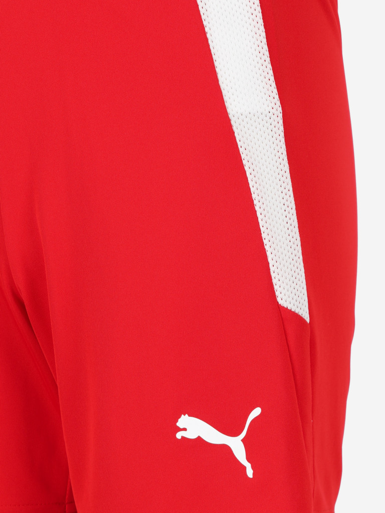 Шорты для мальчиков PUMA Teamliga Jr