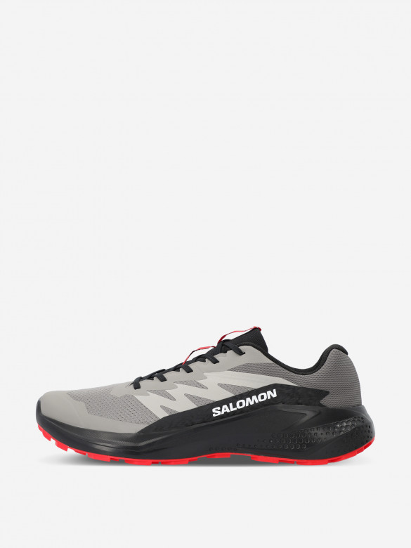 Кроссовки мужские Salomon Alphaglide