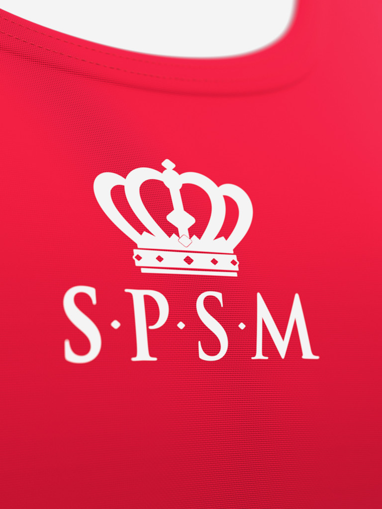 Купальник раздельный SPSM