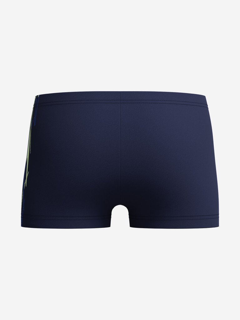 Плавки-шорты для мальчиков Speedo Plastisol Placement Aquasht