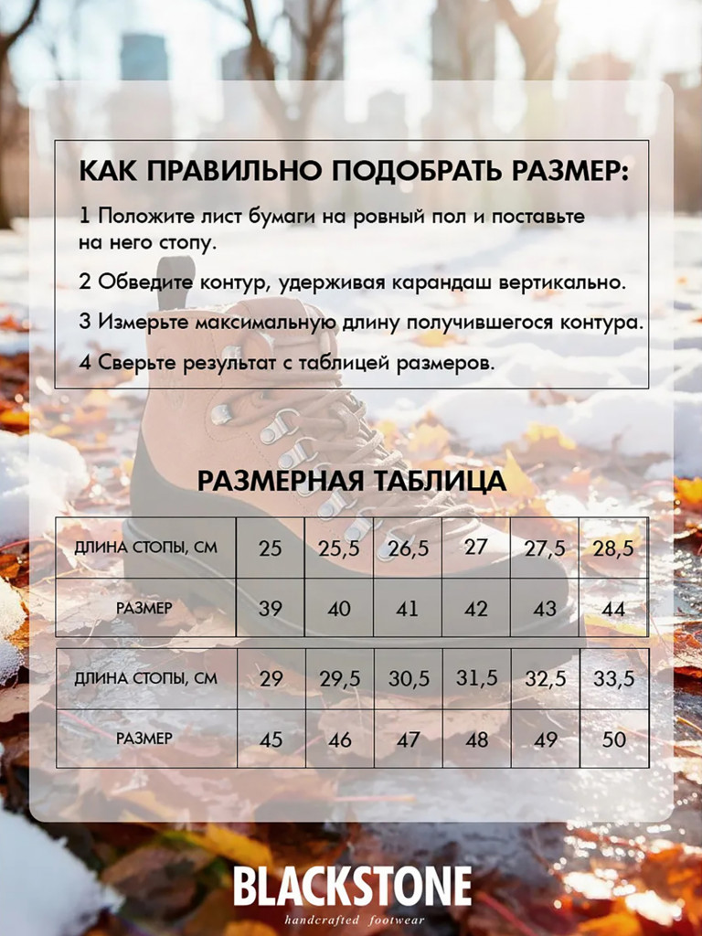 Ботинки мужские Blackstone Rock Tarran