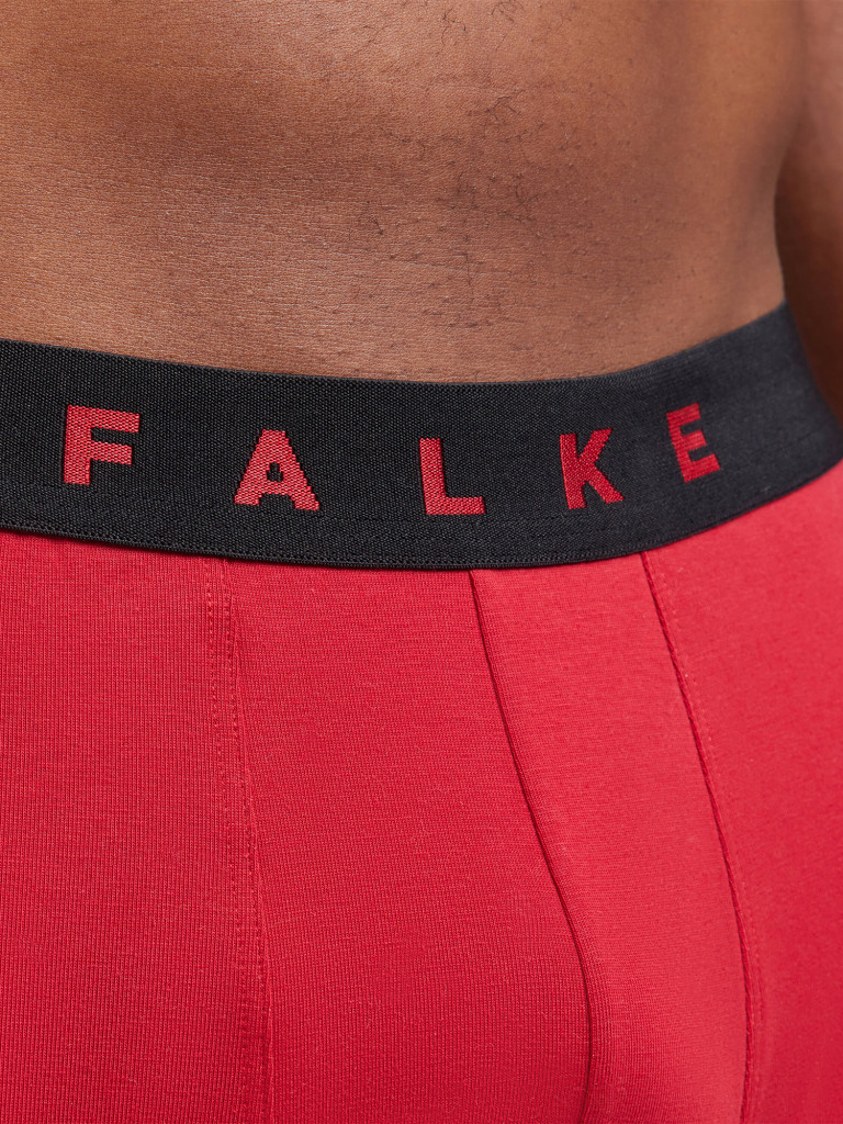 Набор мужских трусов FALKE