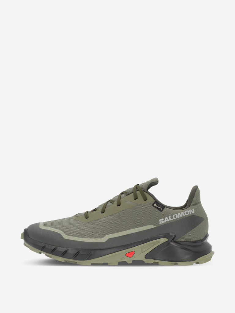 Salomon alphacross 42 sale