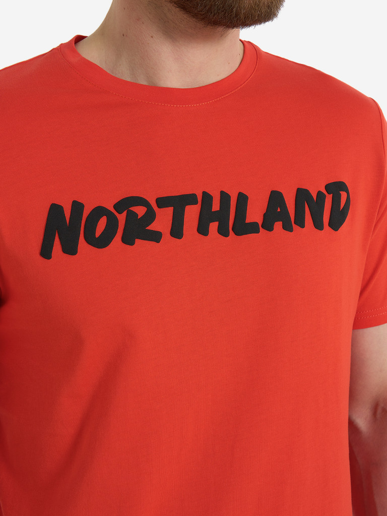 Футболка мужская Northland